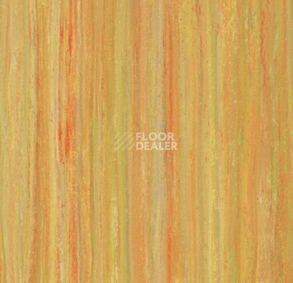 Линолеум Forbo Marmoleum Linear Striato Colour 5241 sunshine yellow фото 1 | FLOORDEALER